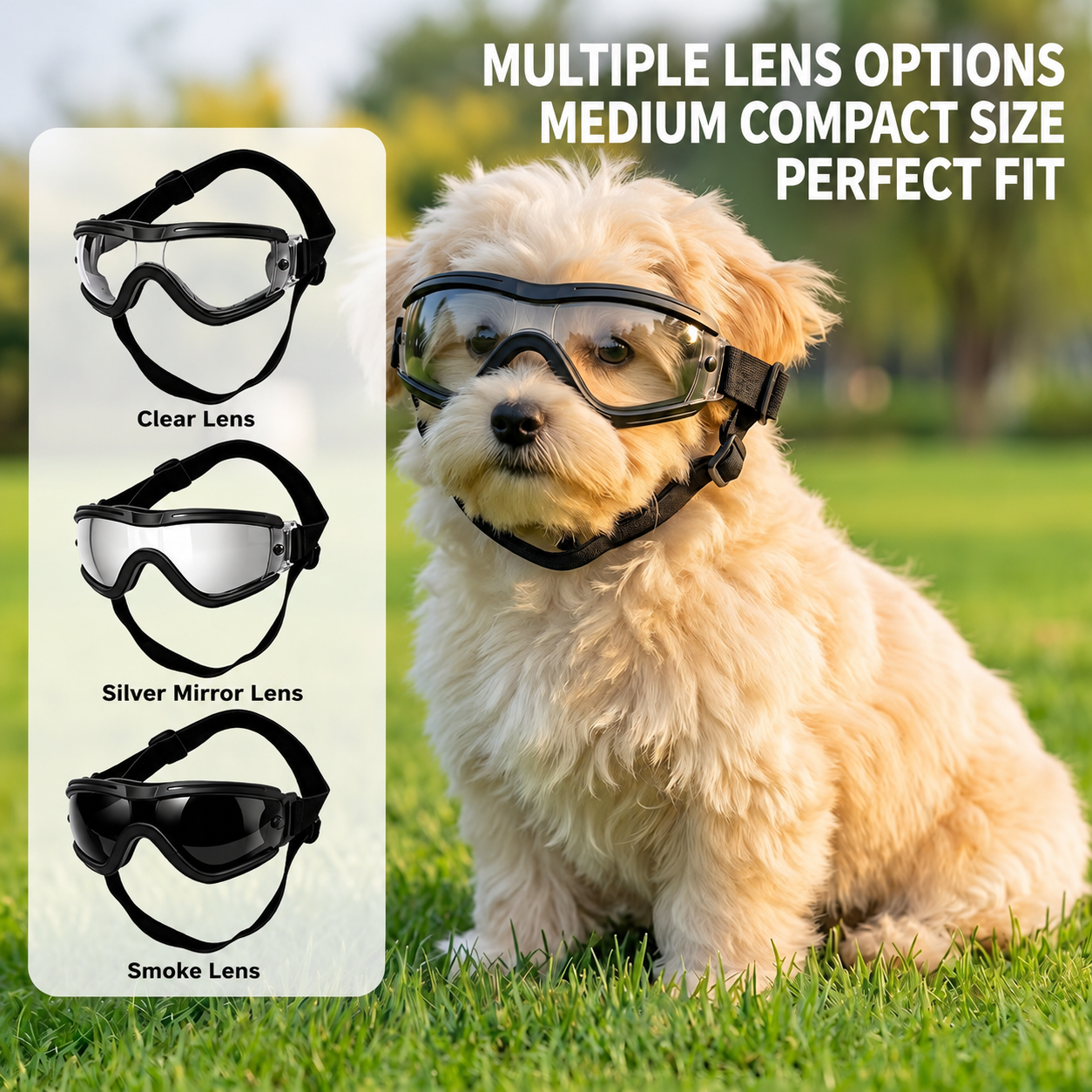 Sunglass Retainer Cord - แว่นตาสำหรับสุนัขขนาดเล็กและขนาดกลาง ป้องกันรังสียูวี กันลม แว่นกันแดดสำหรับสัตว์เลี้ยง สายรัดปรับได้ แว่นตาป้องกันดวงตาสำหรับลูกสุนัข